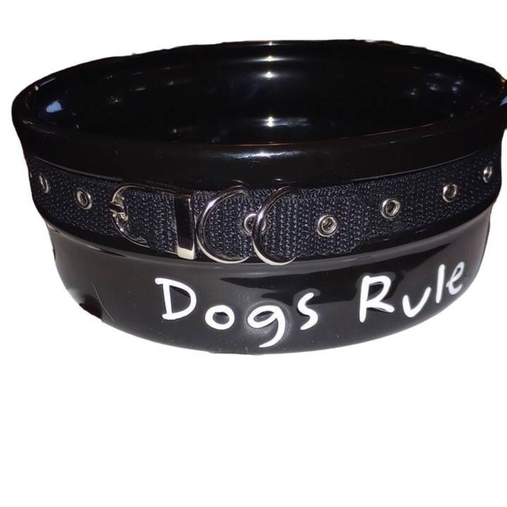 Dog's Rule Dog Dish Black Ceramic Removable Collar
